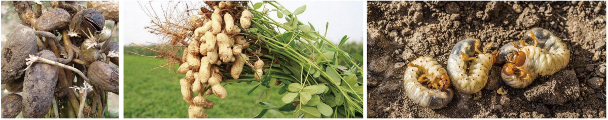 1664265092150274.png QQ截圖20220927155110.png