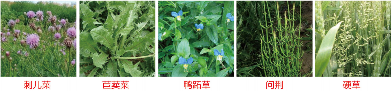 1664329301670231.png 27-27.png