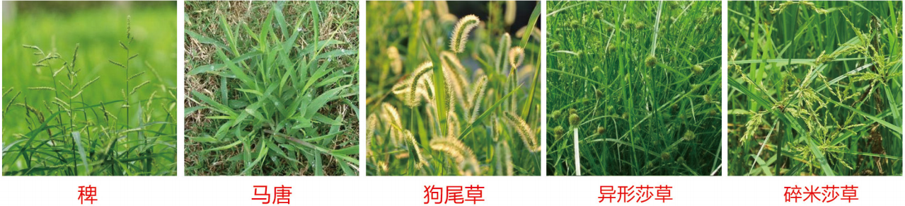 1664337046981255.png 32-32.png