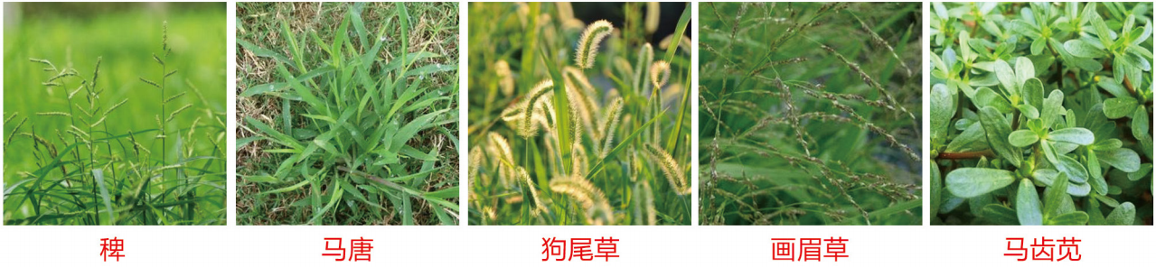 1664342358566965.png 34-34.png